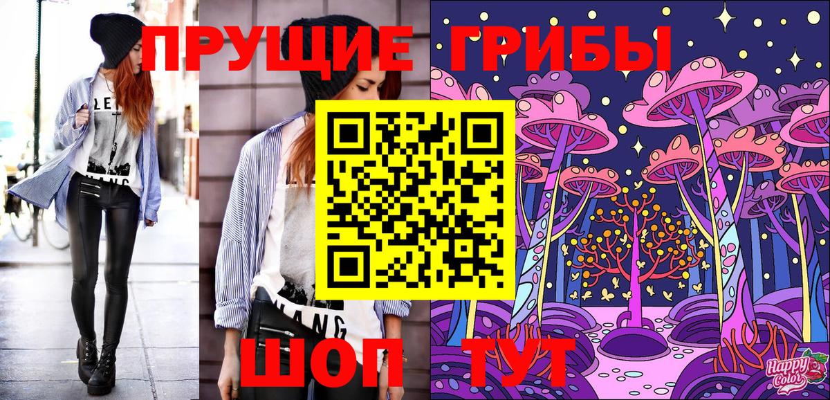 Псилоцибиновые грибы мицелий  Вход с VPN  Волхов 