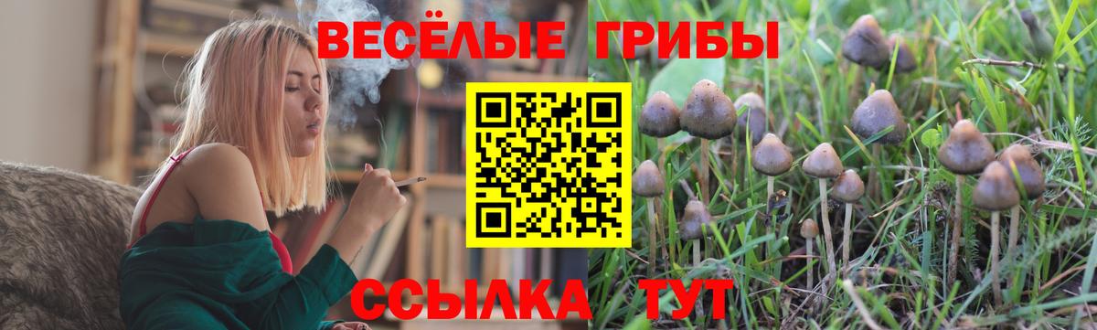 Галлюциногенные грибы прущие грибы Волхов